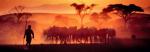 Puzzle Alexander von Humboldt: Pou Kalahari - panorama